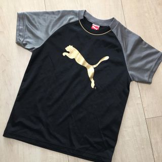 プーマ(PUMA)のプーマ   Tシャツ(Tシャツ/カットソー)