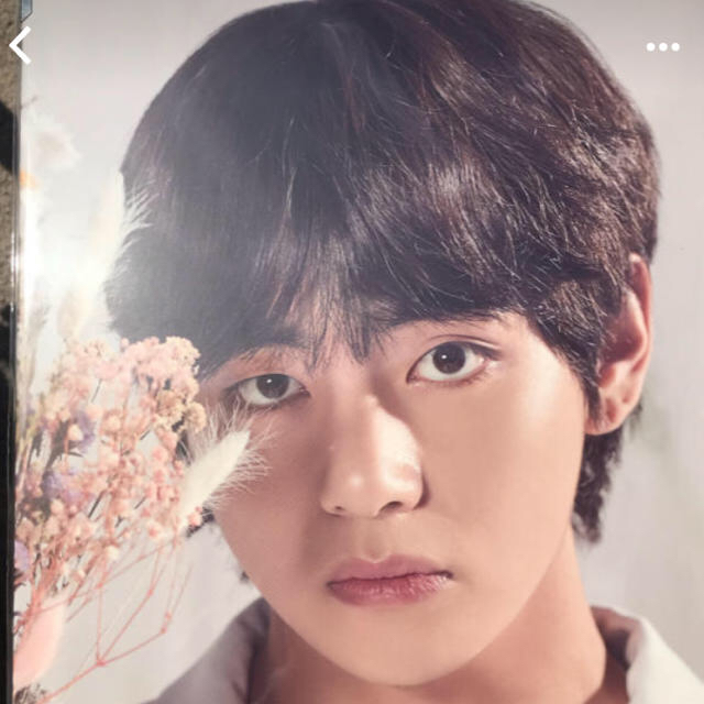 うちわ テテ プレミアムフォト BTS テテ ジミン セット | forext.org.br