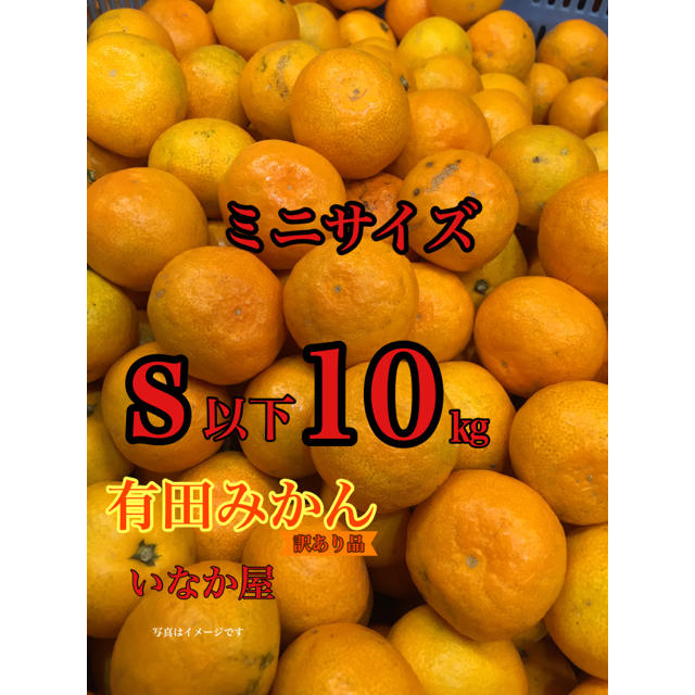 有田みかん 訳あり品 数量限定 ミニサイズ みかん 食品/飲料/酒の食品(フルーツ)の商品写真