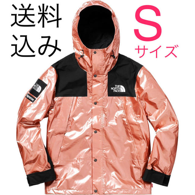 Supreme/The North Face Mountain Parka