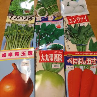 野菜の種 ハーブの種 よりどり6種類 家庭菜園 ガーデニング向け(野菜)