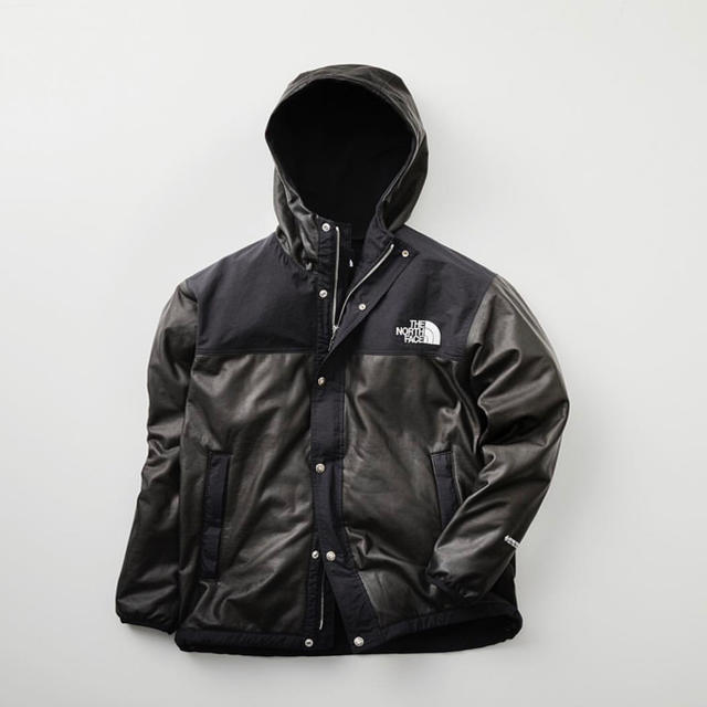 THE NORTH FACE(ザノースフェイス)のXL パミールジャケット ノースフェイス ゴアテックス north face メンズのジャケット/アウター(マウンテンパーカー)の商品写真