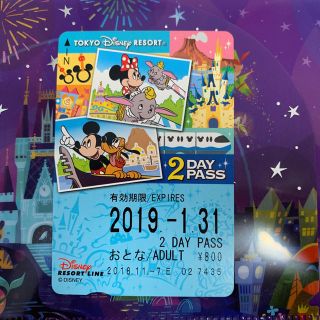 ディズニー(Disney)のディズニー リゾートライン 2DAY(遊園地/テーマパーク)