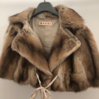 ネイビーシー マルニ 毛皮 ケープ | reumareica.com