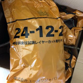 美容師国家試験用ウィッグ6体送料込み(その他)