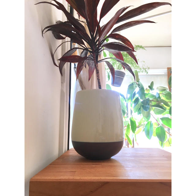 鉢カバー 植木鉢 ミントモスグリーン 陶器 セラミック ハンドメイドのフラワー/ガーデン(プランター)の商品写真