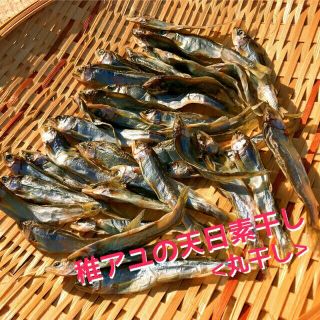 田作りに❗　稚アユの天日素干し(丸干し)　500円分(63g)(魚介)