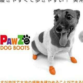 PAWS  xs    ドックブーツ(犬)