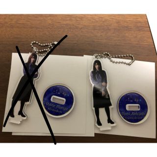 ケヤキザカフォーティーシックス(欅坂46(けやき坂46))のねめ様専用(アイドルグッズ)