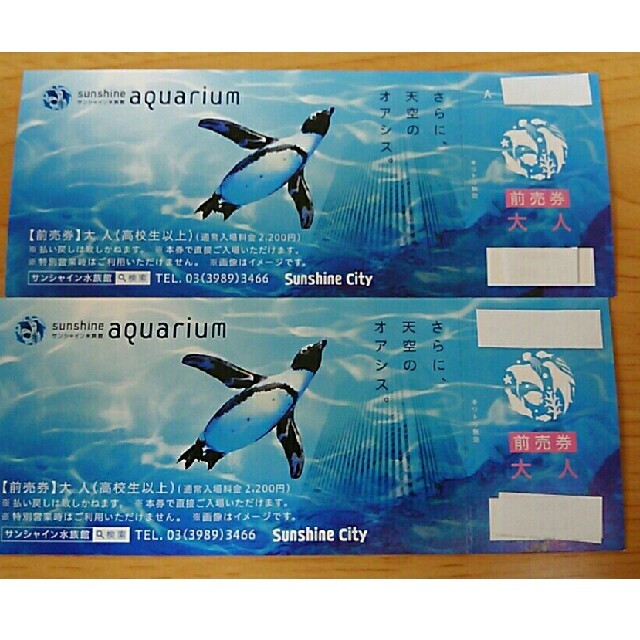 サンシャイン水族館チケット | www.pastificiomaiella.com