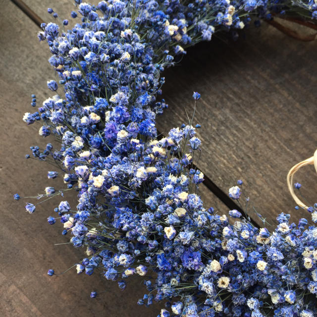 【限定1個】ブルーかすみ草のドライフラワーリース ハンドメイドのフラワー/ガーデン(リース)の商品写真