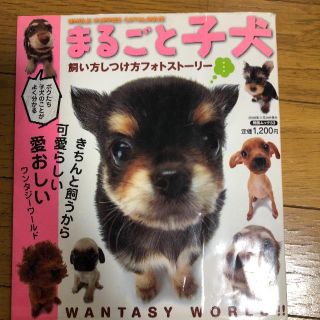 まるごと子犬 飼い方しつけ方フォトストーリー(趣味/スポーツ/実用)