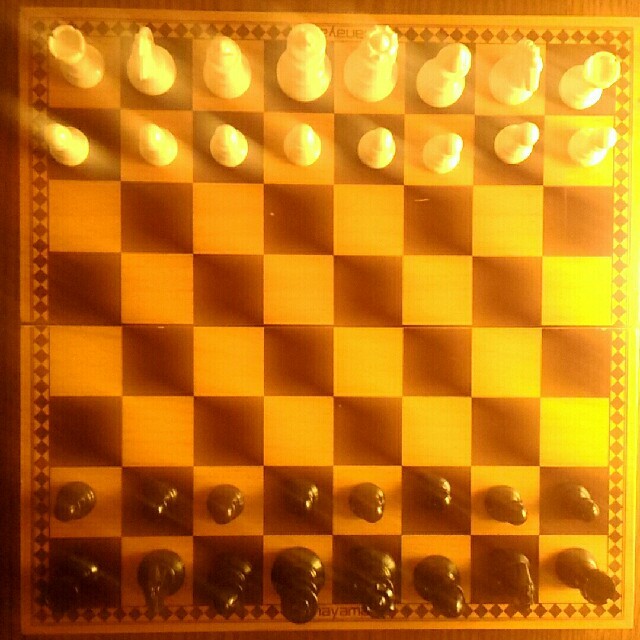 チェス盤　折りたたみ式 エンタメ/ホビーのテーブルゲーム/ホビー(オセロ/チェス)の商品写真