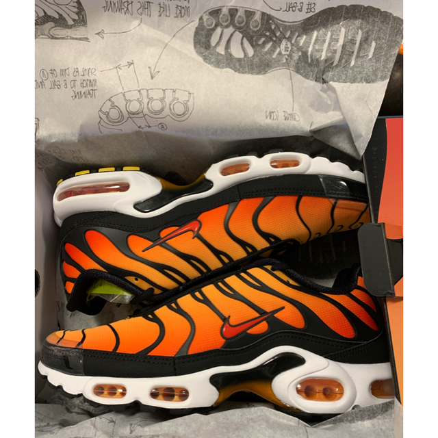 NIKE(ナイキ)のAIR MAX PLUS メンズの靴/シューズ(スニーカー)の商品写真