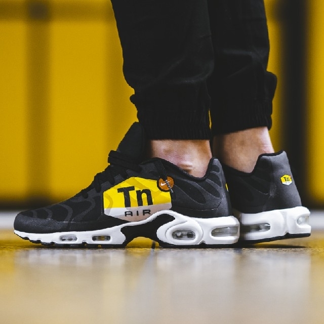 新品 レア 限定モデル NIKE AIR MAX PLUS