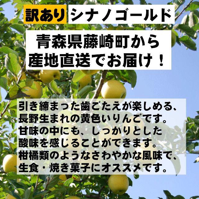 青森県産 りんご 5kg 訳あり シナノゴールド（エコ梱包） 食品/飲料/酒の食品(フルーツ)の商品写真