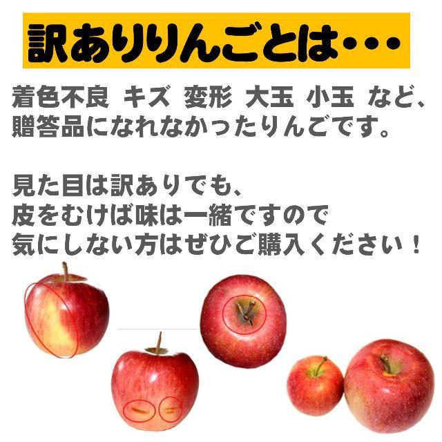 青森県産 りんご 5kg 訳あり シナノゴールド（エコ梱包） 食品/飲料/酒の食品(フルーツ)の商品写真