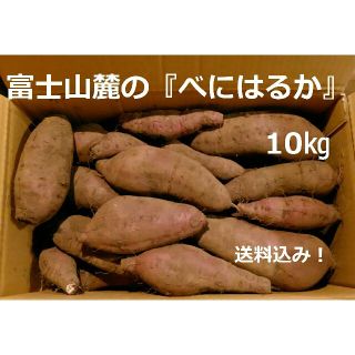 富士山麓で収穫したサツマイモ「べにはるか」10kg　181125(野菜)