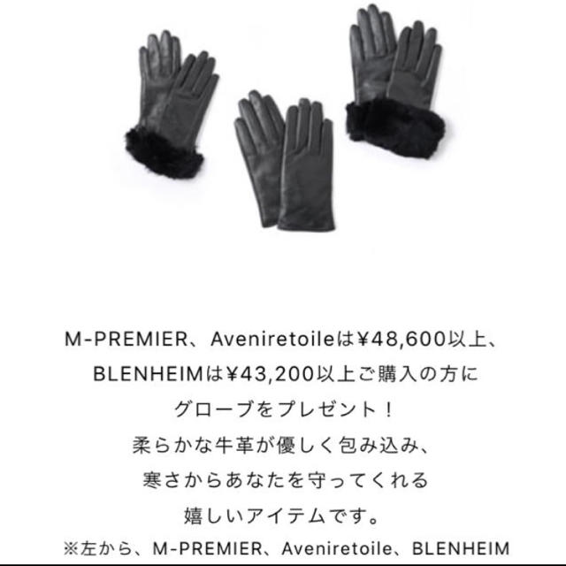 M-premier(エムプルミエ)の【専用】【新品】BLENHEIM 手袋 レディースのファッション小物(手袋)の商品写真