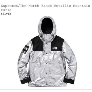 シュプリーム(Supreme)のSupreme North Face Mountain Parka Silver(マウンテンパーカー)