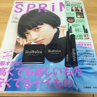 タカラジマシャ(宝島社)のSPRiNG1月号  付録付き ゆにばーすはらちゃん詐欺メイクコスメ(ファッション)