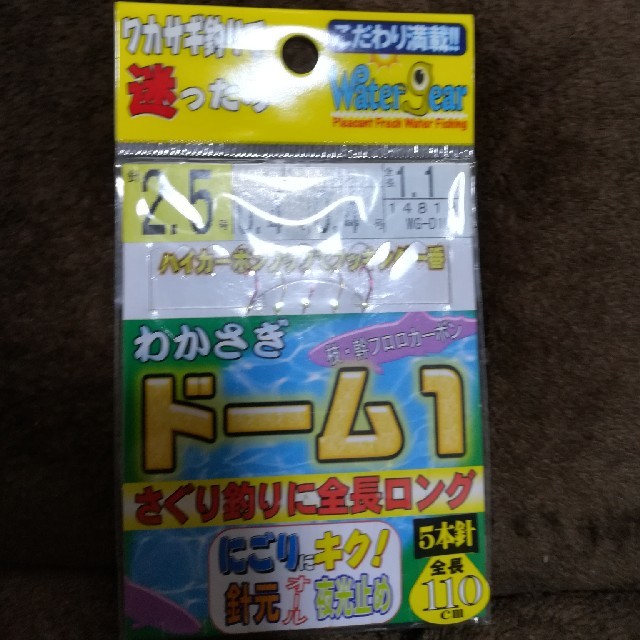 10個まとめて！わかさぎ仕掛け　ドーム1 スポーツ/アウトドアのフィッシング(釣り糸/ライン)の商品写真