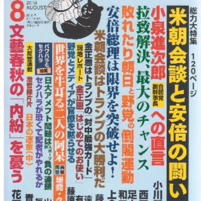 米朝会談と安倍の闘い　拉致解決、最大のチャンス　最低価格です エンタメ/ホビーの雑誌(ニュース/総合)の商品写真