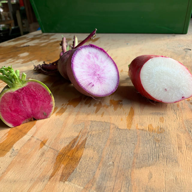 彩新鮮大根 セット 食品/飲料/酒の食品(野菜)の商品写真