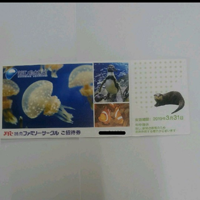 新江ノ島水族館　１枚 チケットの施設利用券(水族館)の商品写真