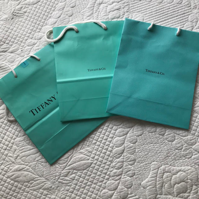 Tiffany & Co.(ティファニー)の紙袋 TIFFANY&Co レディースのバッグ(ショップ袋)の商品写真