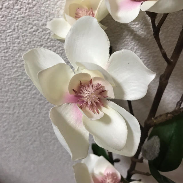 ハナミヅキ 造花 ハンドメイドのフラワー/ガーデン(その他)の商品写真