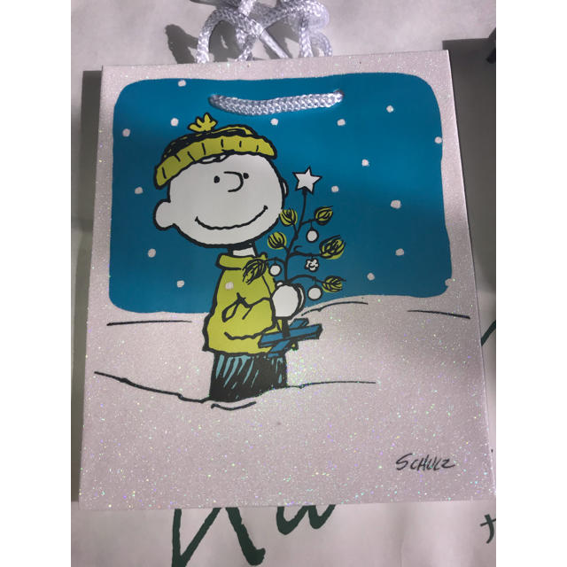 SNOOPY(スヌーピー)のスヌーピー チャーリーブラウン クリスマス紙袋セット インテリア/住まい/日用品のオフィス用品(ラッピング/包装)の商品写真