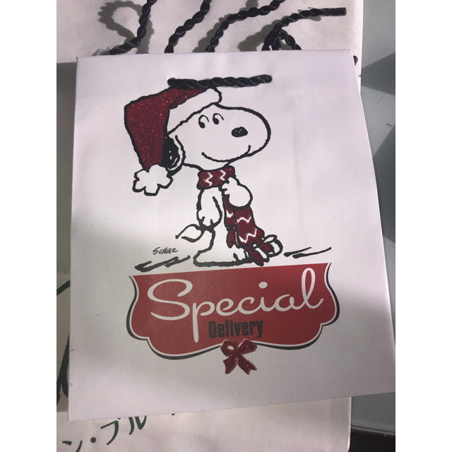 SNOOPY(スヌーピー)のスヌーピー チャーリーブラウン クリスマス紙袋セット インテリア/住まい/日用品のオフィス用品(ラッピング/包装)の商品写真