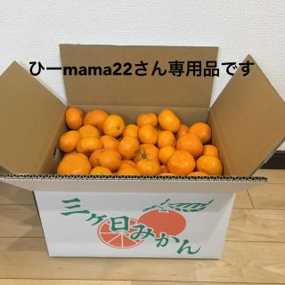 ひーmama22さん専用品です(フルーツ)