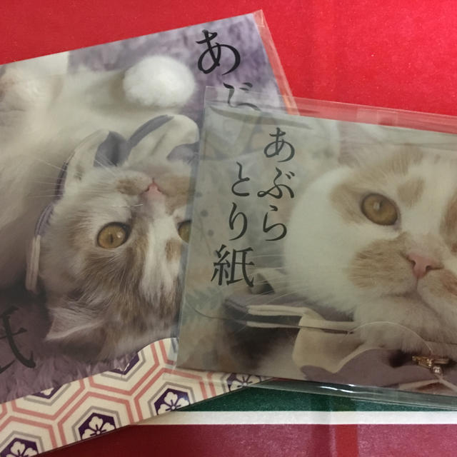 ねこ休み展 ホイちゃん あぶらとり紙2種 その他のその他(その他)の商品写真