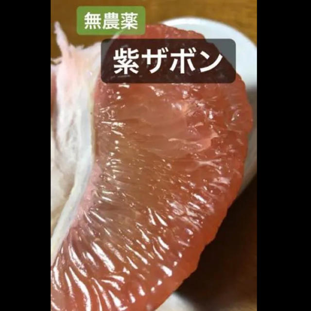 紫ザボン / 柑橘系 / 無農薬 食品/飲料/酒の食品(フルーツ)の商品写真