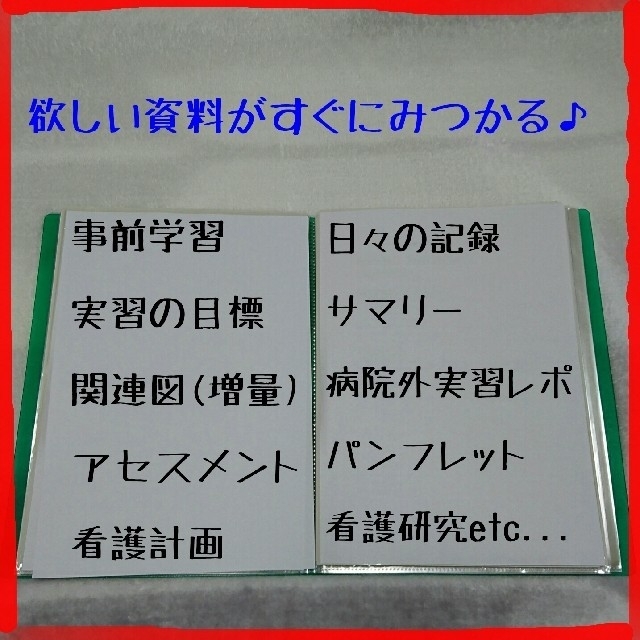 🤩超増量版🤩看護実習☆お役立ち資料(看護過程) エンタメ/ホビーのCD(CDブック)の商品写真