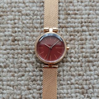 スカーゲン(SKAGEN)の腕時計　SKAGEN　SKW2640 (腕時計)