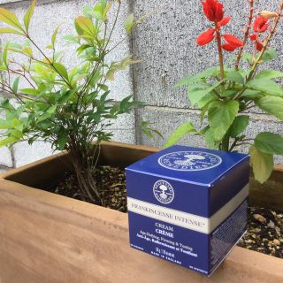 ニールズヤード(NEAL'S YARD)のニールズヤード フランキンセンス インテンス クリーム ５０ｇ(フェイスクリーム)