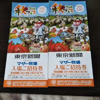 マザー牧場 入場ご招待券  ２枚(遊園地/テーマパーク)