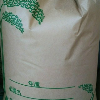 コシヒカリ　約1kg　お米　一等米　単一原料米　ポイント(米/穀物)
