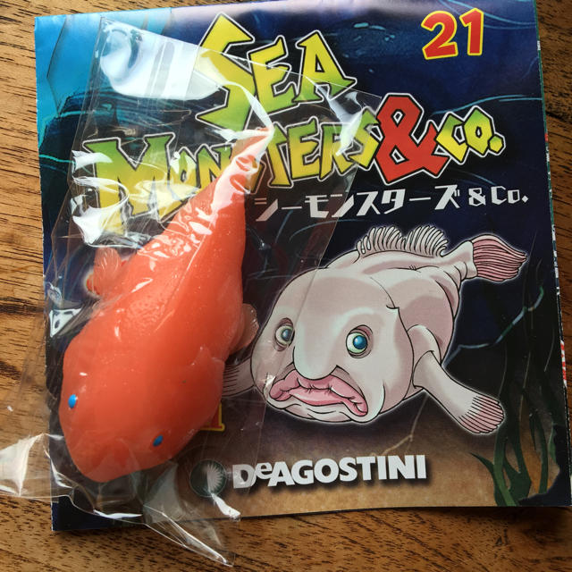 シーモンスターズ ブロブフィッシュの通販 By シソメンチカツ S Shop ラクマ シーモンスターズ ブロブフィッシュの通販 By シソメンチカツ S Shop ラクマ