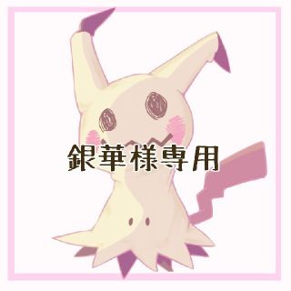 ポケモン(ポケモン)の銀華様　専用。(シングルカード)