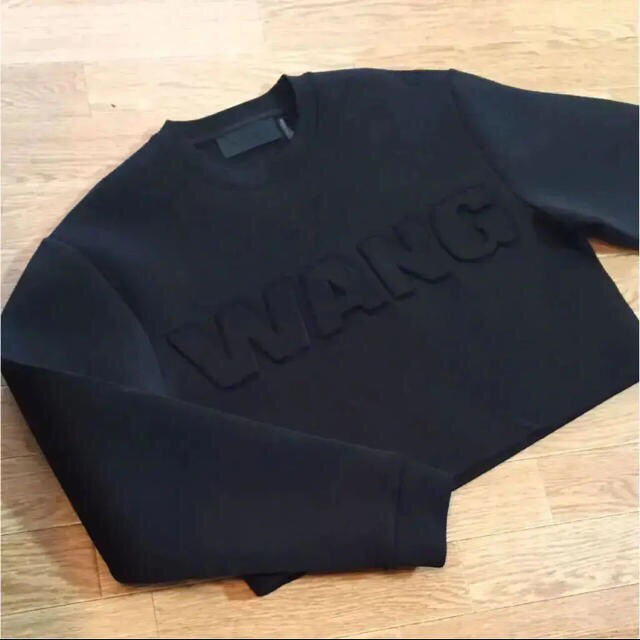 Alexander Wang(アレキサンダーワン)のAlexander Wang × H&M スウェット レディースのトップス(トレーナー/スウェット)の商品写真