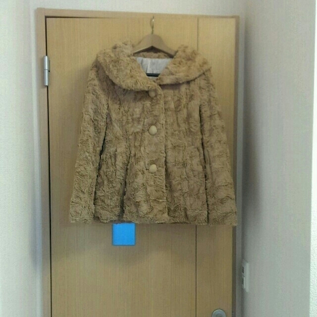 NAVANA(ナバーナ)の送料無料 ナバーナ姉ブランド ファー レディースのジャケット/アウター(毛皮/ファーコート)の商品写真