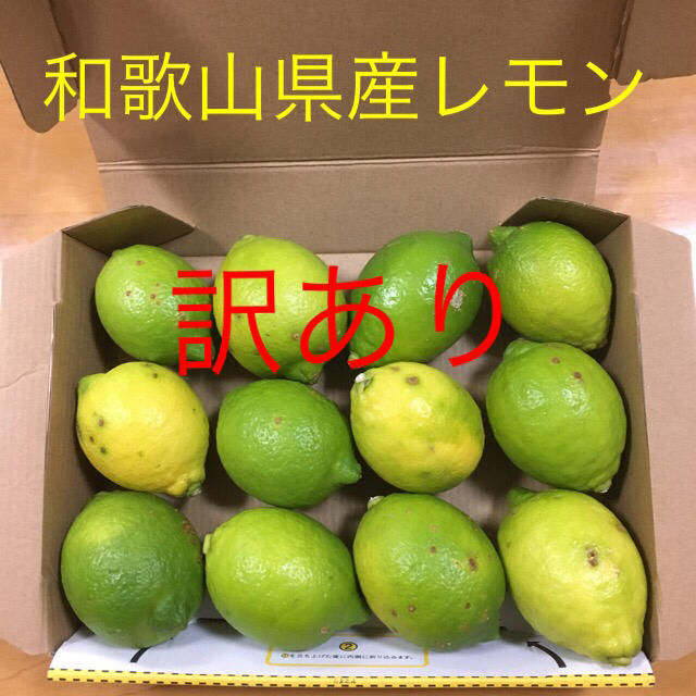 和歌山県産レモン訳あり 食品/飲料/酒の食品(フルーツ)の商品写真
