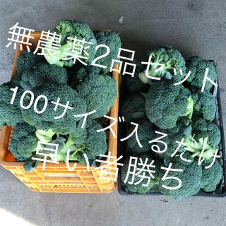 無農薬2セット100サイズ入るだけ早い者勝ち(野菜)