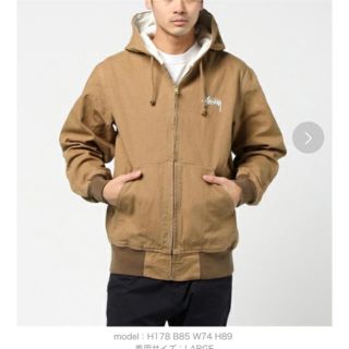 ステューシー(STUSSY)のSTUSSY(Gジャン/デニムジャケット)