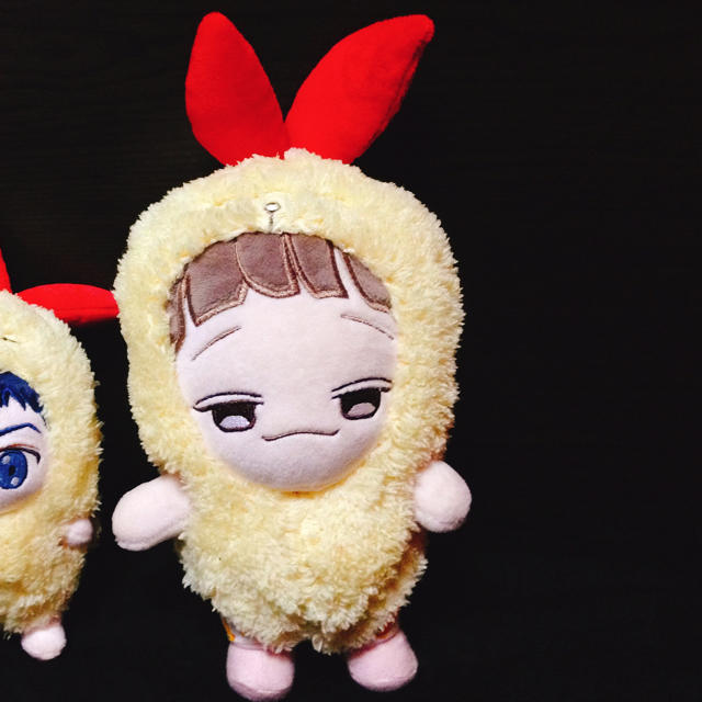 EXO(エクソ)のmami様 専用 エンタメ/ホビーのタレントグッズ(アイドルグッズ)の商品写真