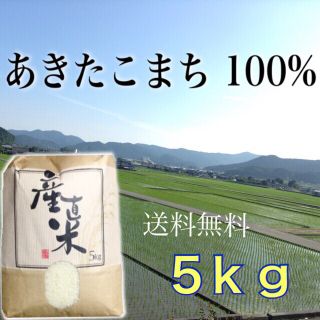 【マニ様専用】愛媛県産あきたこまち100%  新米５㎏   農家直送(米/穀物)